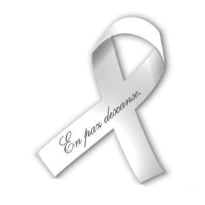 Meet your Posher, Armando